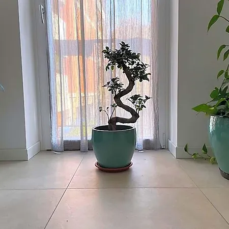 Green Stay Bergamo Maison d'hôtes