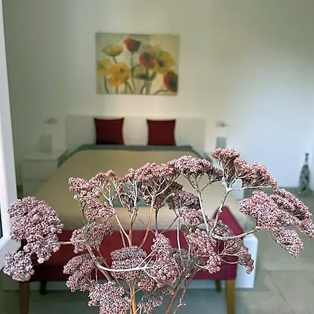 Green Stay Bergamo 3* ברגמו